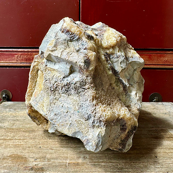 septarie septaria groot ruw brok nr8 edelstenenmineralenwinkel