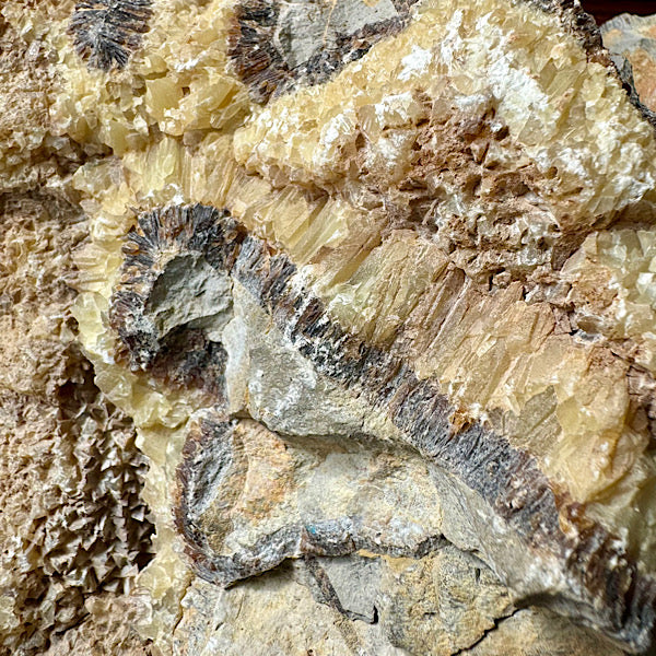 septarie septaria groot ruw brok nr8 edelstenenmineralenwinkel