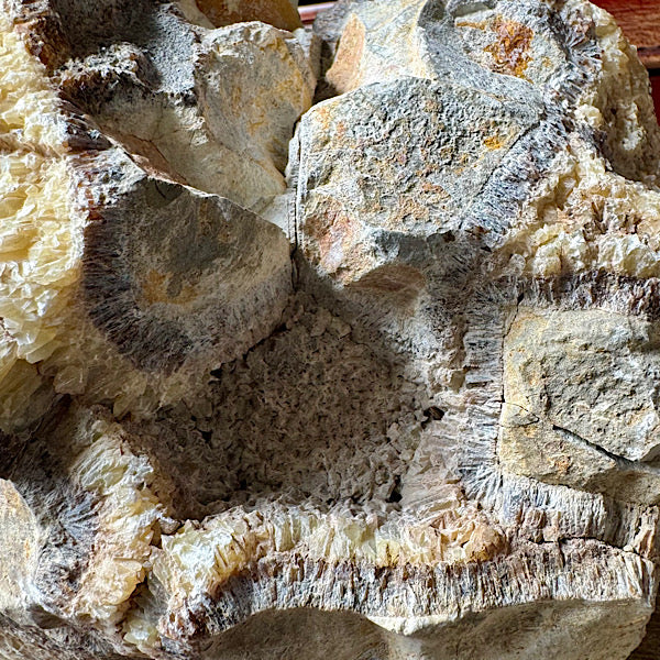 septarie septaria groot ruw brok nr8 edelstenenmineralenwinkel