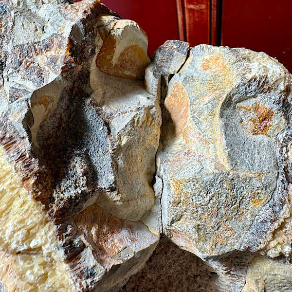 septarie septaria groot ruw brok nr8 edelstenenmineralenwinkel