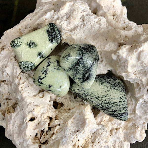 serpentijn trommelsteen mineralen luipaard