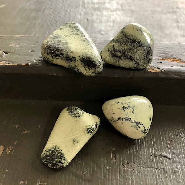 serpentijn trommelsteen mineralen luipaard