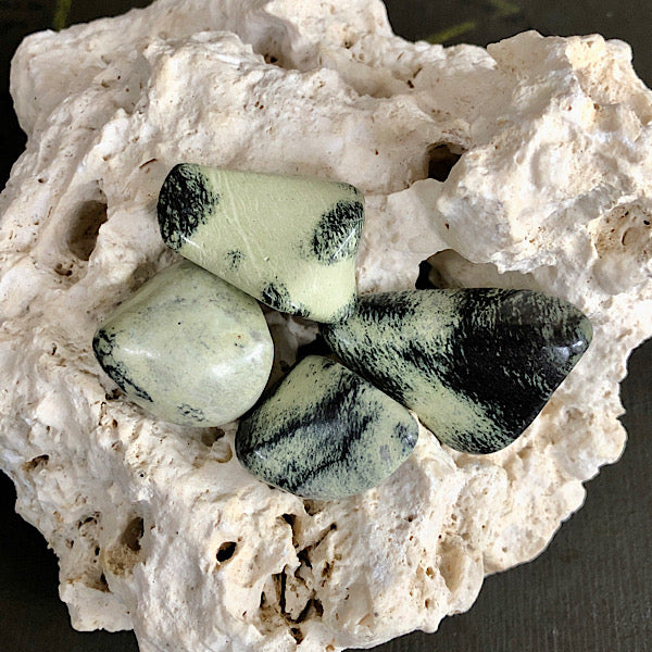 serpentijn trommelsteen mineralen luipaard