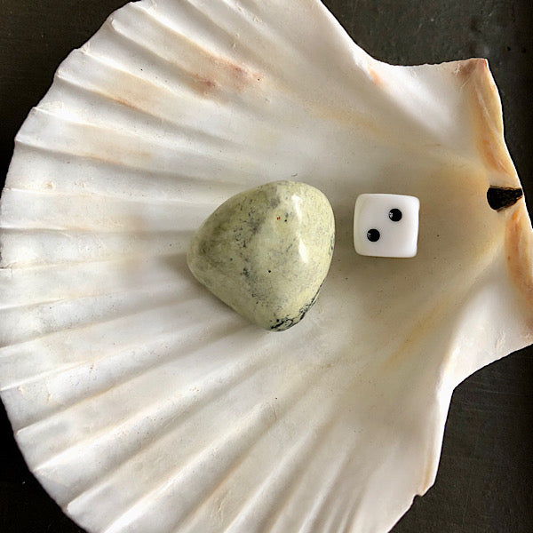 serpentijn trommelsteen mineralen luipaard