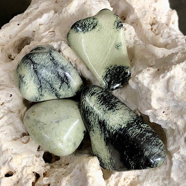 serpentijn trommelsteen mineralen luipaard