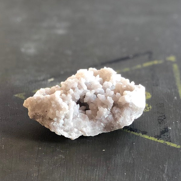 sneeuwkwarts de schatkamer ruw