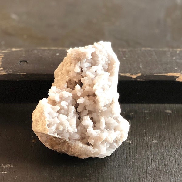 sneeuwkwarts de schatkamer ruw