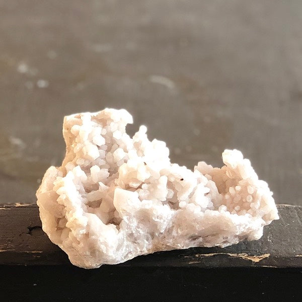 sneeuwkwarts de schatkamer ruw