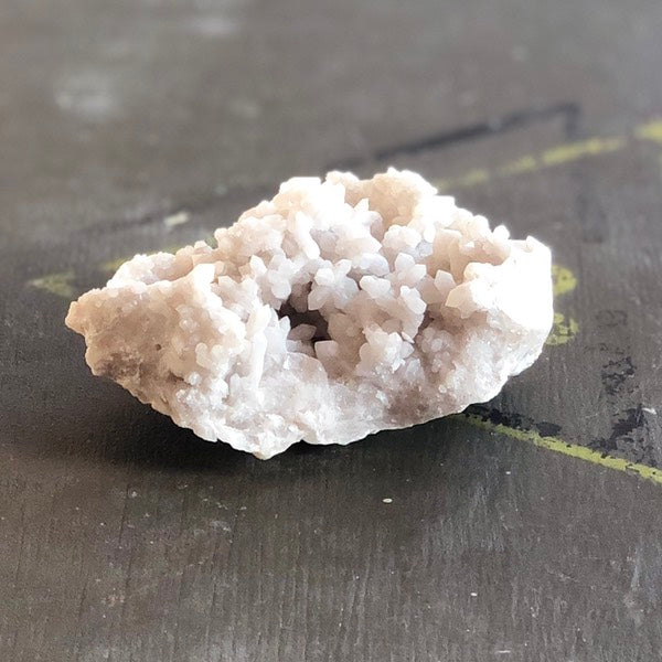 sneeuwkwarts de schatkamer ruw