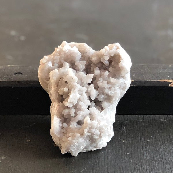 sneeuwkwarts de schatkamer ruw