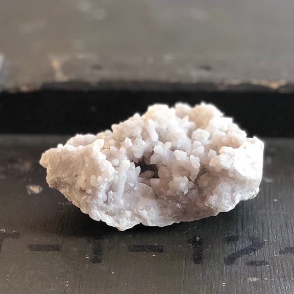 sneeuwkwarts de schatkamer ruw