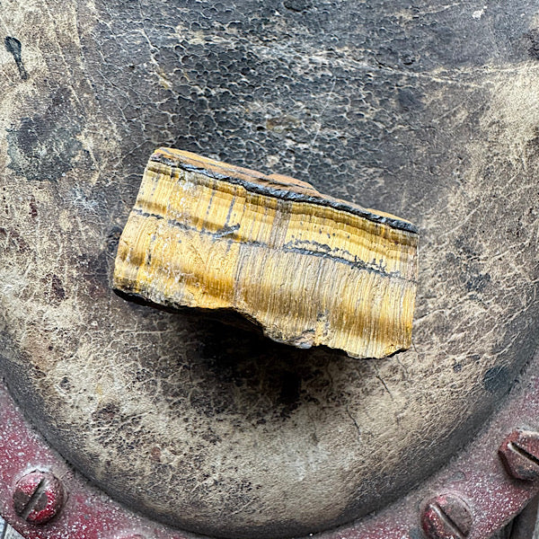 tijgeroog ruw brok brazilië a