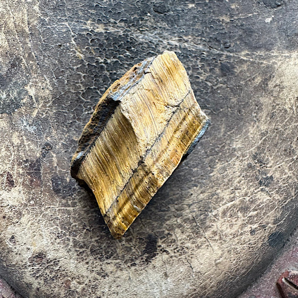 tijgeroog ruw brok brazilië a