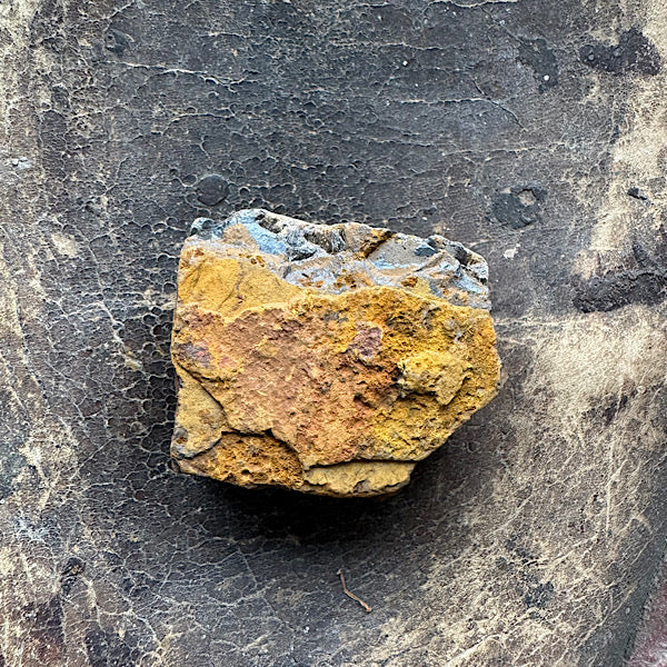 tijgeroog ruw brok brazilië a