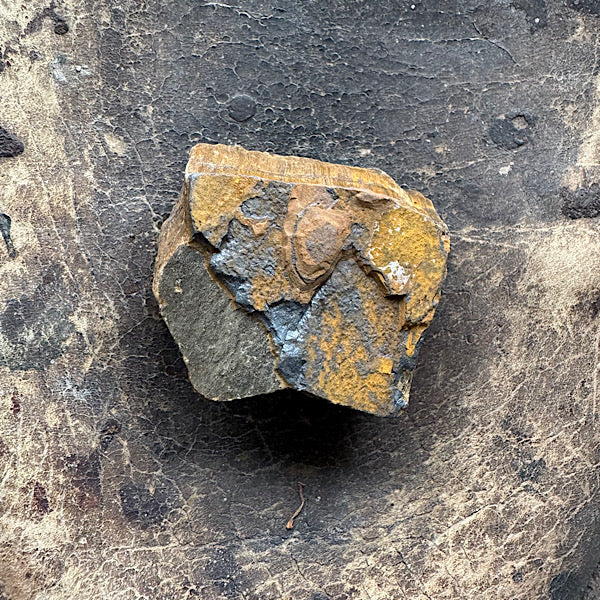 tijgeroog ruw brok brazilië a