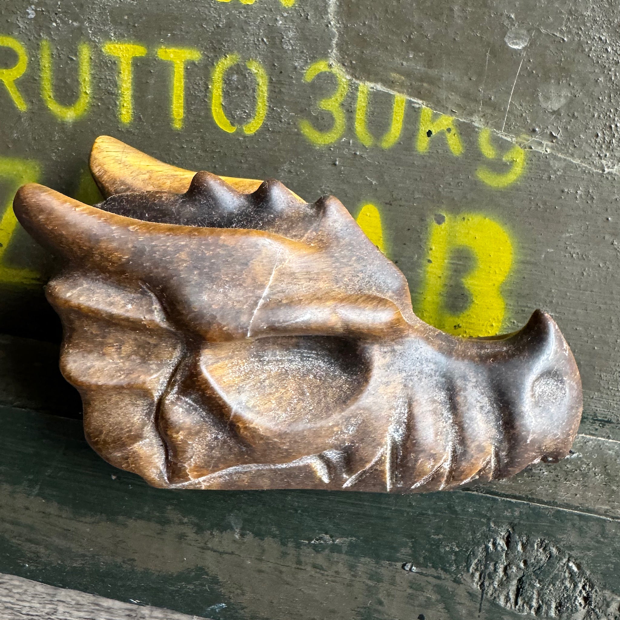 tijgeroog drakenschedel dragon skull 