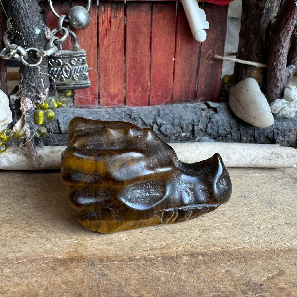 zijkant  van een edelsteen tijgeroog drakenschedel
