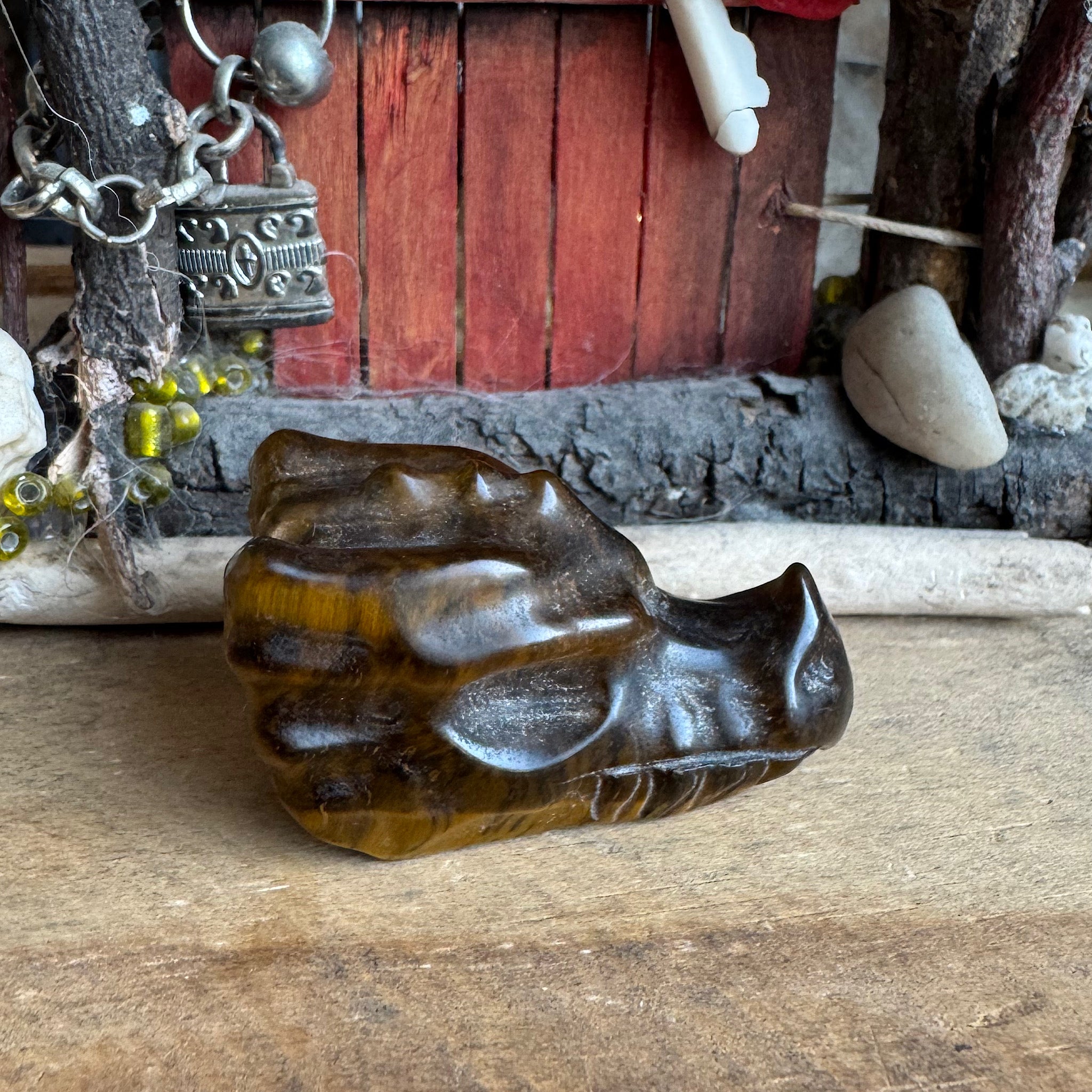zijkant  van een edelsteen tijgeroog drakenschedel