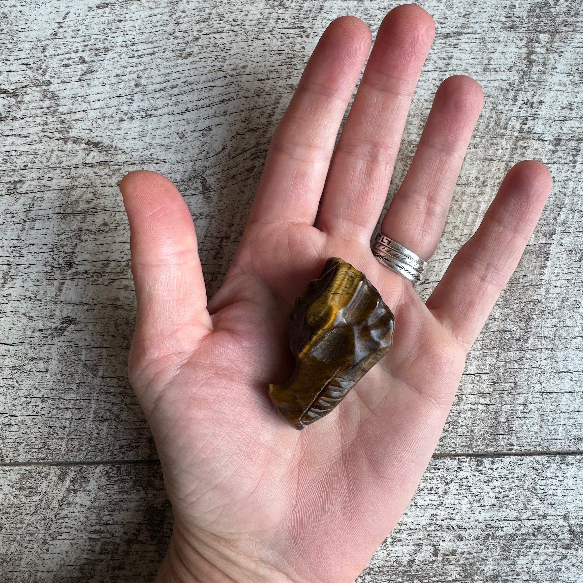 in de hand een edelsteen tijgeroog drakenschedel