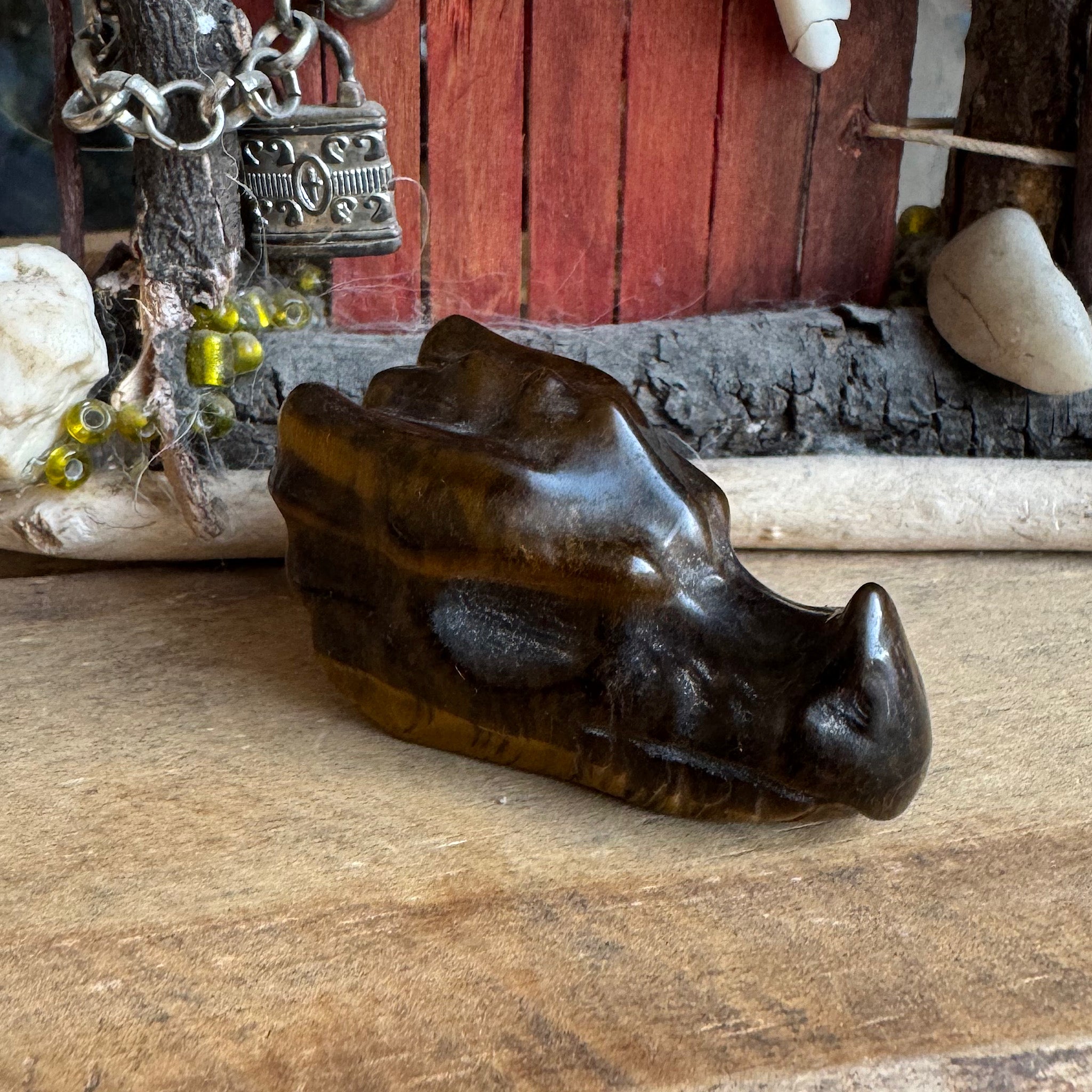 zijaanzicht van een edelsteen tijgeroog drakenschedel