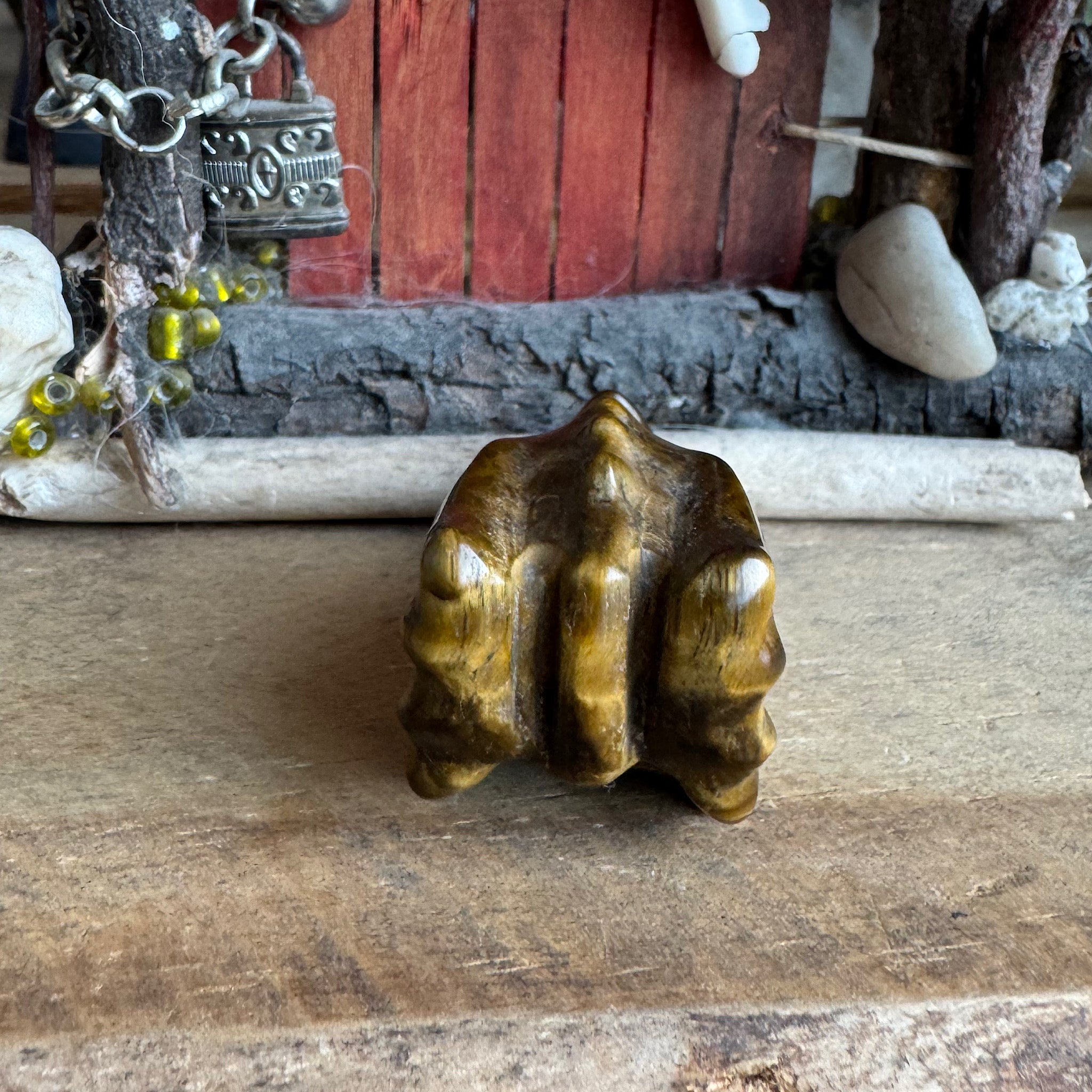 achterkant van een edelsteen tijgeroog drakenschedel