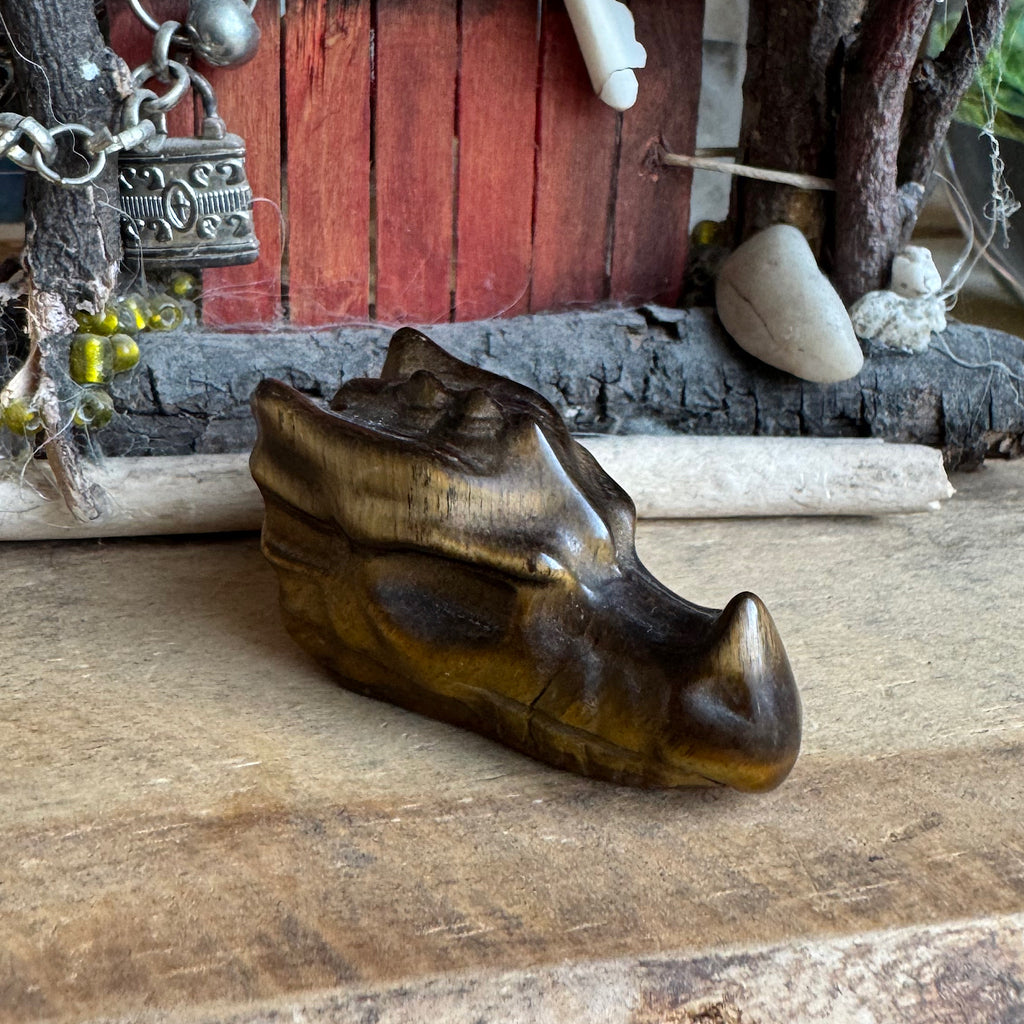 schuin aanzicht van een klein drakenschedel van edelsteen tijgeroog