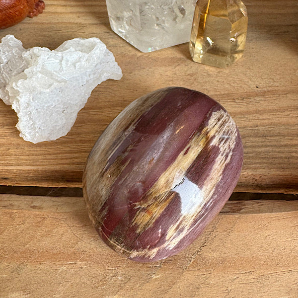 versteend hout A hand zak steen gepolijst edelstenenmineralenwinkel.nl