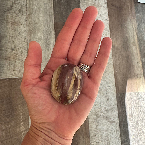 versteend hout A hand zak steen gepolijst