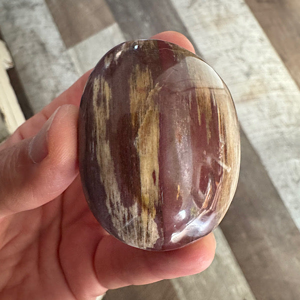 versteend hout A hand zak steen gepolijst