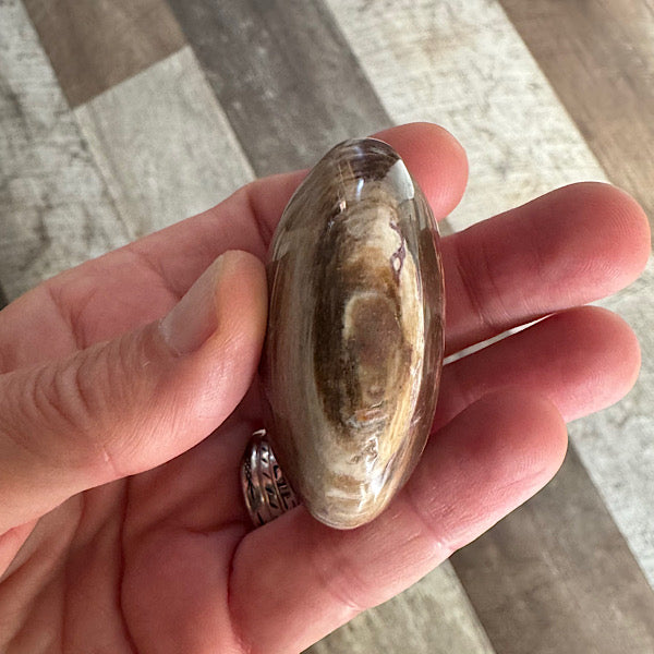 versteend hout A hand zak steen gepolijst