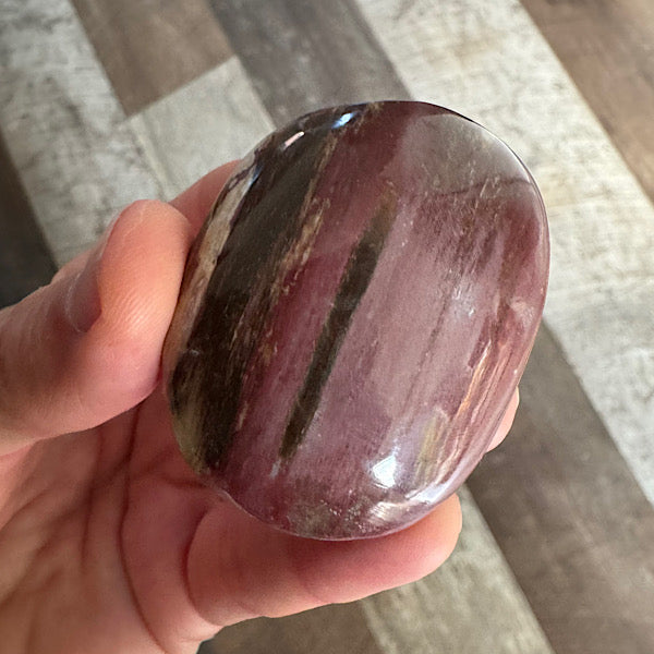 versteend hout A hand zak steen gepolijst