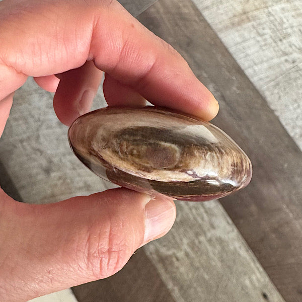 versteend hout A hand zak steen gepolijst