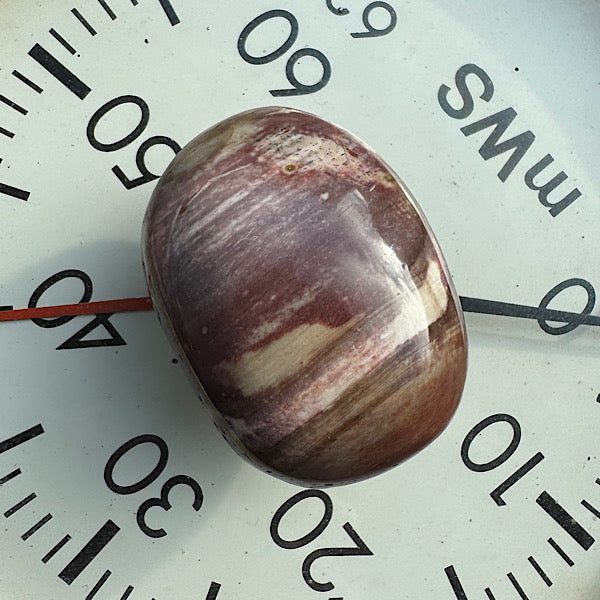 versteend hout B hand zak steen gepolijst edelstenenmineralenwinkel.nl