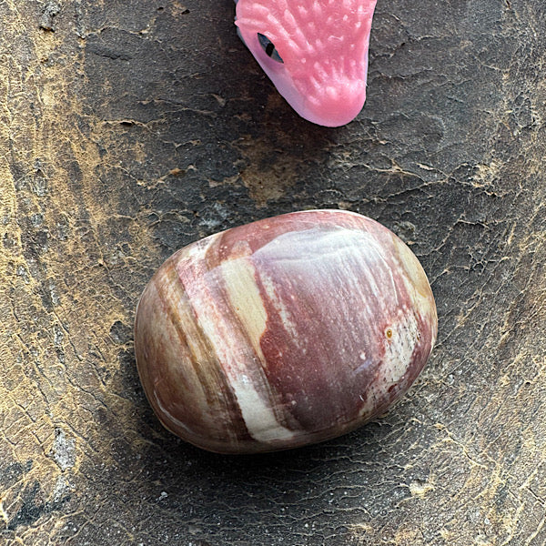 versteend hout B hand zak steen gepolijst