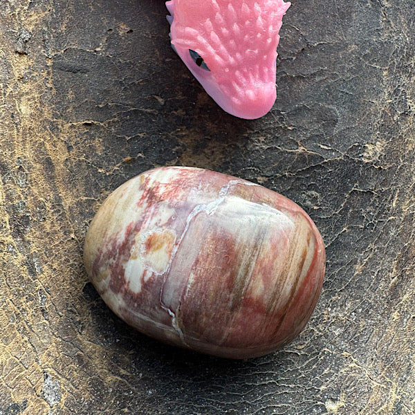 versteend hout B hand zak steen gepolijst