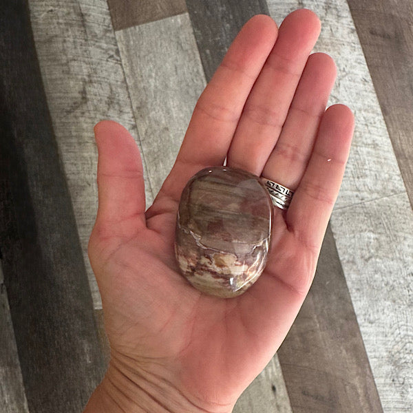 versteend hout B hand zak steen gepolijst