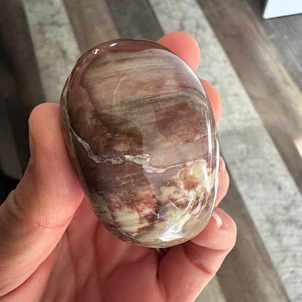 versteend hout B hand zak steen gepolijst