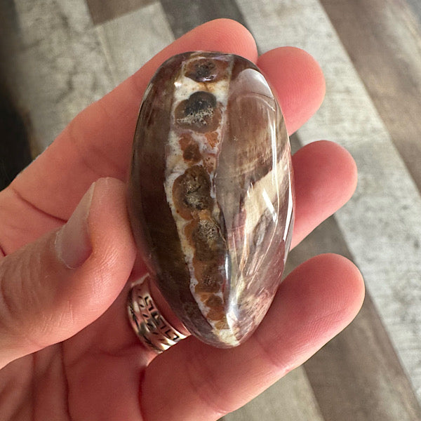 versteend hout B hand zak steen gepolijst