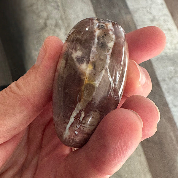 versteend hout B hand zak steen gepolijst