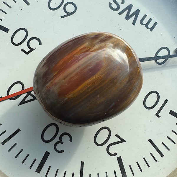 versteend hout C hand zak steen gepolijst -edelstenenmineralenwinkel.nl