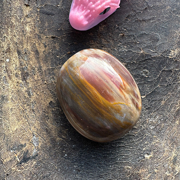 versteend hout C hand zak steen gepolijst