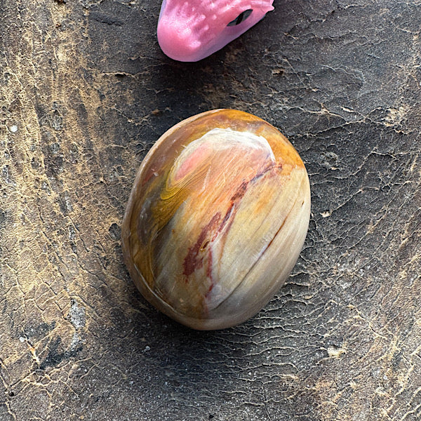 versteend hout C hand zak steen gepolijst