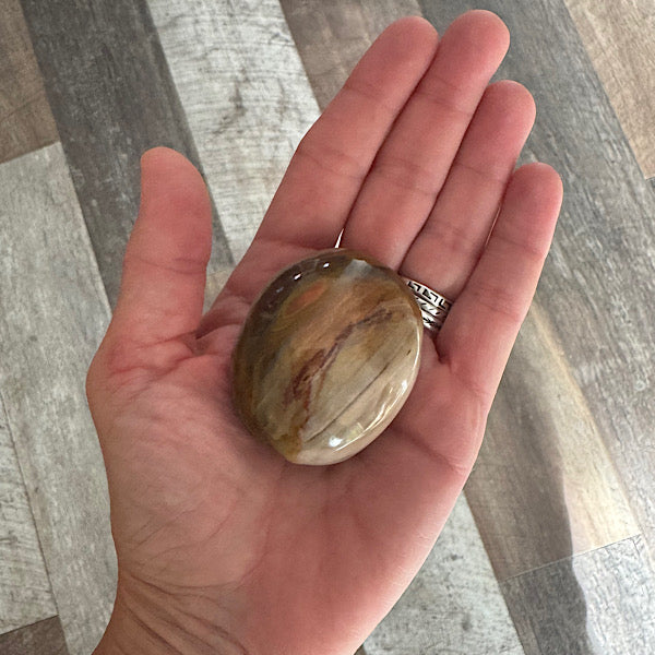 versteend hout C hand zak steen gepolijst