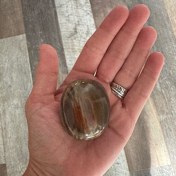 versteend hout C hand zak steen gepolijst