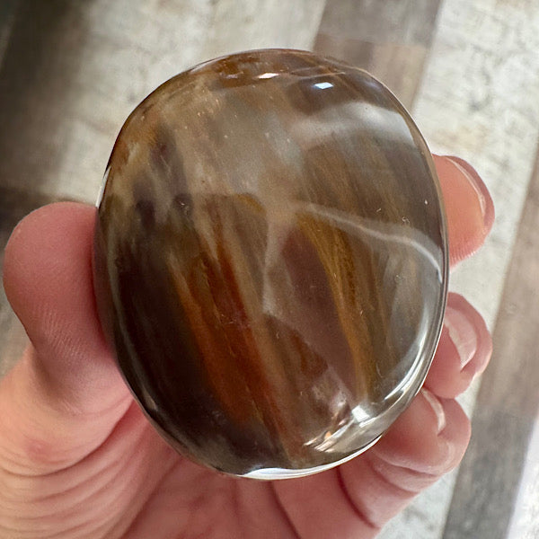 versteend hout C hand zak steen gepolijst