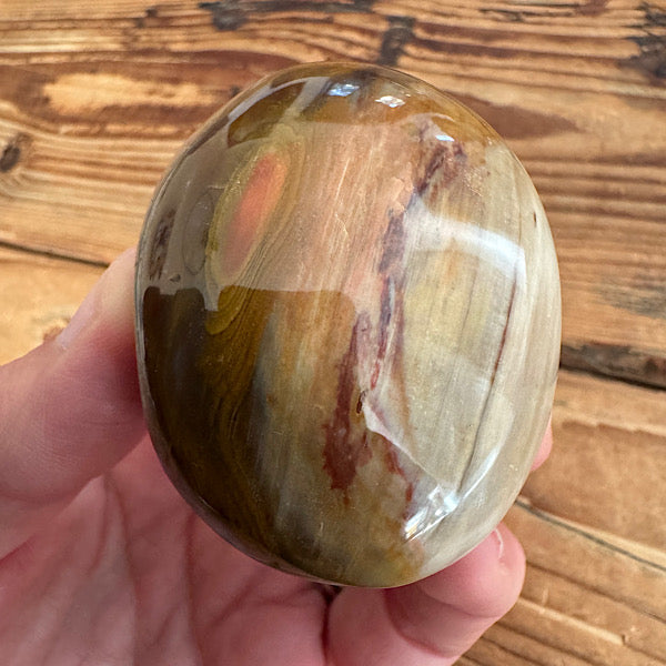 versteend hout C hand zak steen gepolijst