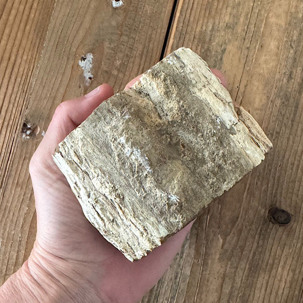 versteend hout boom stam gepolijst indonesië fossiel