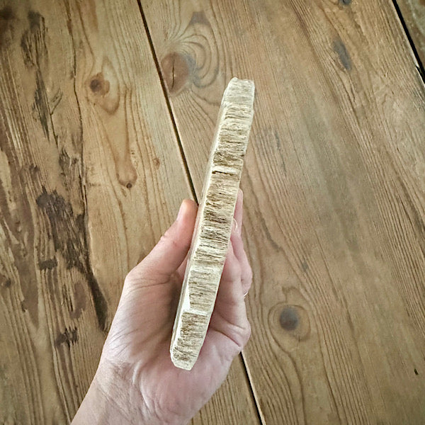 versteend hout eikenblad plak indonesië gepolijst edelstenen mineralen winkel kristallen