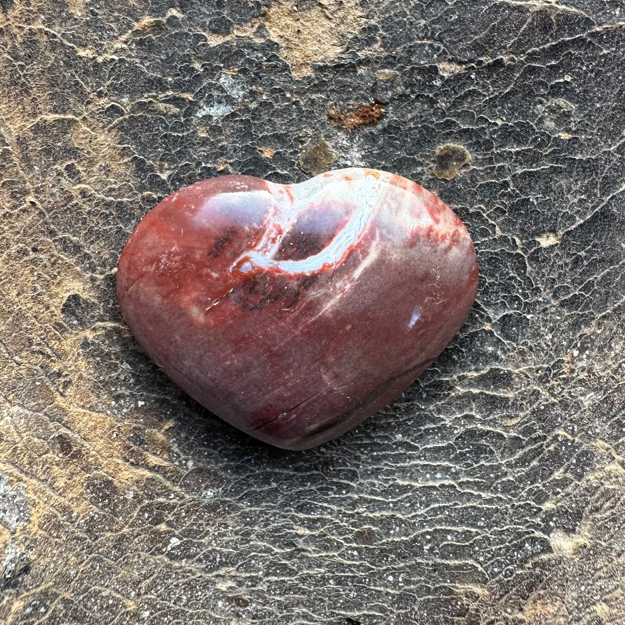 rood bruin versteend hout hart klein gepolijst 