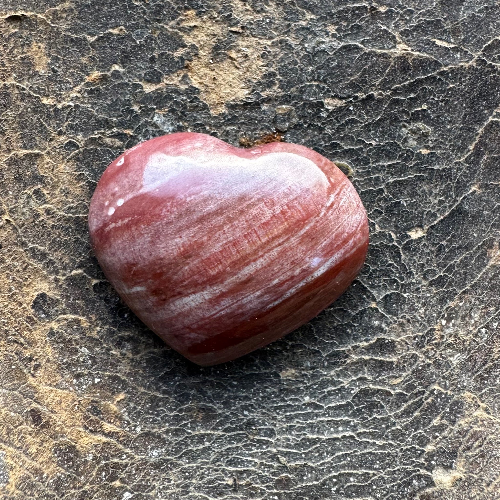 versteend hout klein hartje in rood bruine kleuren